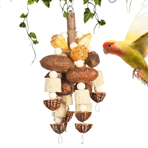 MWZBTG Conure Spielzeug,Kletterstab & Natürliches Nagematerial | Holzdekoration & Käfigzubehör Mit Nuss-Schnur Für, Sittich, Nymphensittich, Unzertrennliche Und Finken MWZBTG Conure Spielzeug,Kletterstab & Natürliches Nagematerial | Holzdekoration & Käfigzubehör Mit Nuss-Schnur Für, Sittich, Nymphensittich, Unzertrennliche Und Finken von MWZBTG