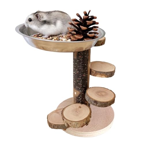 MWZBTG Hamster Spielplatz | Nagerleiter aus Holz mit Spielplatz für Käfigausstattung,Kletter- Und Futterspielzeug Mit Edelstahlschale Für Kleintiere MWZBTG Hamster Spielplatz | Nagerleiter aus Holz mit Spielplatz für Käfigausstattung,Kletter- Und Futterspielzeug Mit Edelstahlschale Für Kleintiere von MWZBTG