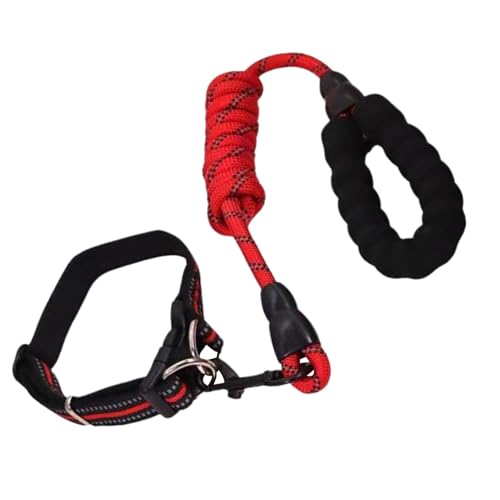 MWZBTG Reflektierendes Hundehalsband, kleines Hundehalsband,Verstellbares Halsband mit Seilset für Haustierwelpen | Pet Supplies Weiche Haustierhalsbänder, geeignet für große, mittlere und kleine MWZBTG Reflektierendes Hundehalsband, kleines Hundehalsband,Verstellbares Halsband mit Seilset für Haustierwelpen | Pet Supplies Weiche Haustierhalsbänder, geeignet für große, mittlere und kleine von MWZBTG
