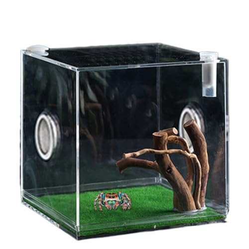 MWZBTG Springspinnen Gehege, 5.5/6.5cm Acryl Vogelspinnen Gehege, Spinnen Terrarium Kit, Springspinne Wohnraum, Haustierbehälter Für Schnecken, Eidechsen, Käfer Und Schildkröten von MWZBTG