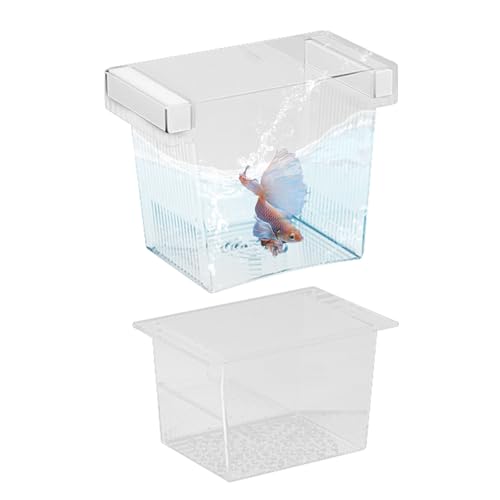 MWZBTG Zuchtkasten Für Fische | Netzbrutbox Für Aquarium,Aufzuchtabteilung Behälter Bruterei Inkubator Für Kampffisch Guppy Skalar Futterei Ei Akklimatisierung von MWZBTG