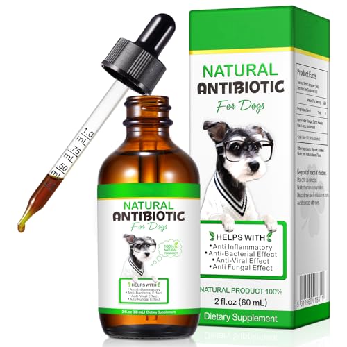 Natürliches Antibiotikum für Hunde (60ml) - 100% Hormonfreie Entzündungshemmer-Tropfen mit Speckgeschmack - Sichere Unterstützung bei Infektionen & Stärkung der Abwehrkräfte von MXCZBSM
