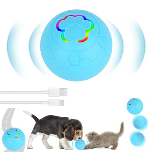 MXTIMWAN Interaktives Hunde Ball Spielzeug, Selbstrollender Ball Hund, Hundespielzeug Ball USB Wiederaufladbar, für Welpen/Kleine/Mittlere Hunde MXTIMWAN Interaktives Hunde Ball Spielzeug, Selbstrollender Ball Hund, Hundespielzeug Ball USB Wiederaufladbar, für Welpen/Kleine/Mittlere Hunde von MXTIMWAN