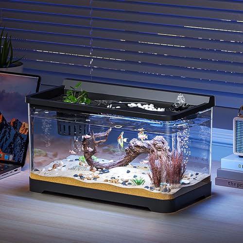 Aquarium Komplettset Mit LED Beleuchtung, Innenfilter Und Heizung, Leise Dekorative Tischaquarium(Medium) von MYBSXKEOZ
