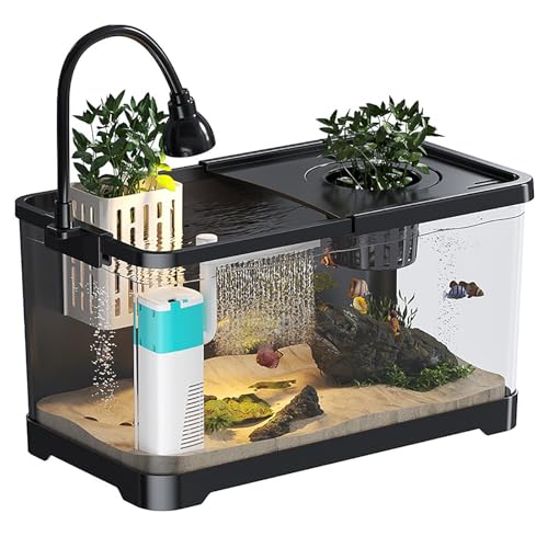 Aquarium Komplettset Mit LED-Beleuchtung Und Filter, Künstliches Aquarium Für Fische Und Wasserpflanzen(M) von MYBSXKEOZ