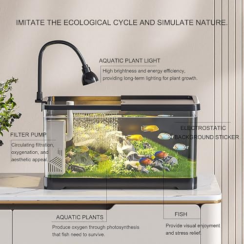 Aquarium Mit Filter Und Licht, Landschaftsbau Aquarium Starter-Set LED-Licht, Mini Fischtank Tischdekoration Kleines Aquarium Für Zuhause, Büro, Wohnzimmer(Large) von MYBSXKEOZ