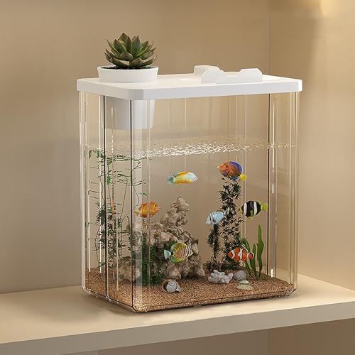Aquarium Mit Pumpe Und Licht, Aquarium Set Komplett Mit LED, Mini Fischtank Tischdekoration Für Büro Und Wohnen(White,Small) von MYBSXKEOZ