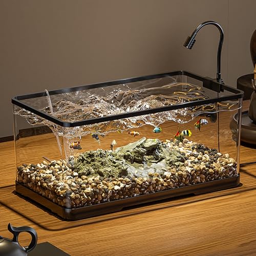 Aquarium Mit Pumpe Und Licht, Leise Dekorative Tischaquarium,TropischeAquarien Starter Set Für Haus BüRo Tischdekoration(XL) von MYBSXKEOZ