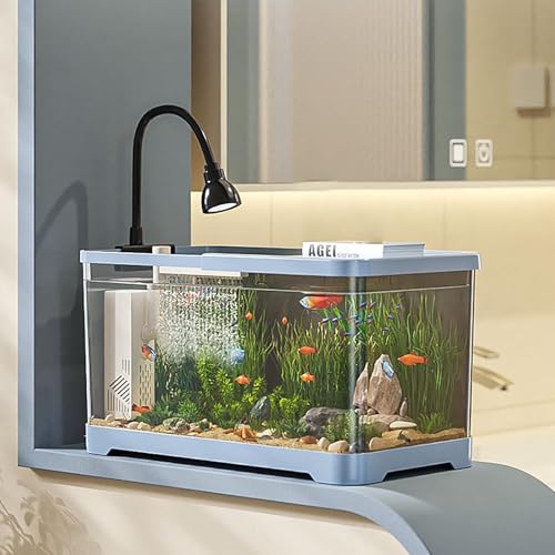 Aquarium Rechteckig Mit Abdeckung, Mini Desktop Fischtank Acryl Aquarium Starter Kit Für Fische Und Wasserpflanzen(Large) von MYBSXKEOZ