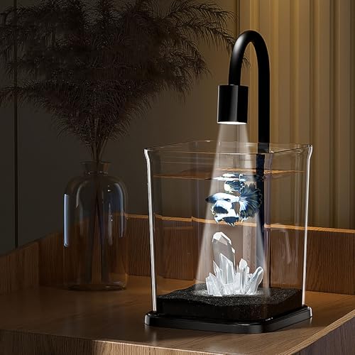 Fischtank, Aquarium Beleuchtung,Rechteckiges Mini Tischaquarium Aquarium Starter Set Tischdekoration Oberem Fütterungsloch Für Fische Und Garnelen von MYBSXKEOZ