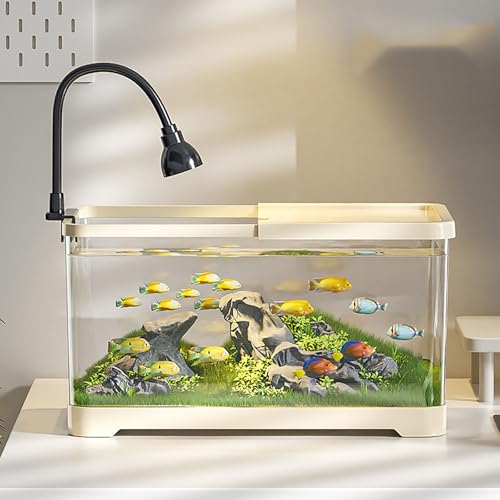 Fischtank Aquarium Mit LED-Leuchten & Filtersystem, Rechteckiges Aquarium Mit Filter Und Sauerstoffzufuhr, Rechteckiges Betta-Aquarium Mit Deckel Für Heim Bürodekoration(White,Large) von MYBSXKEOZ