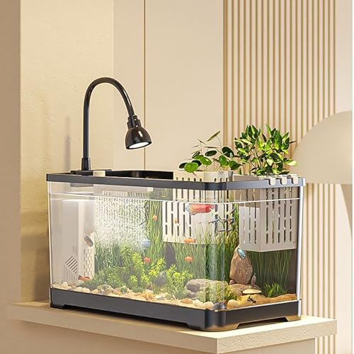 Fischtank Aquarium Mit Wasserblick, Desktop-Aquarium Set Für Schildkröten,Aquaristik Tischdekoration,Fischschale Für Kampffische, Schildkröten & Frösche(Large) von MYBSXKEOZ