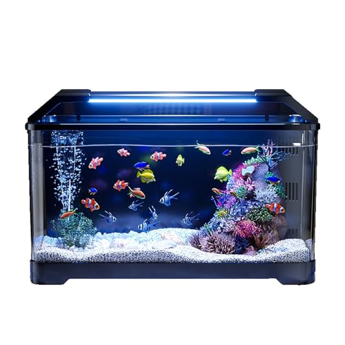 Fischtank Aquarium Mit Wasserpumpe, Acryl-Aquarium-Kit, Landschafts Schreibtisch Aquarium Komplettset Fischglas-Zubehör Für Eine Vielzahl Von Fischen(Small) von MYBSXKEOZ