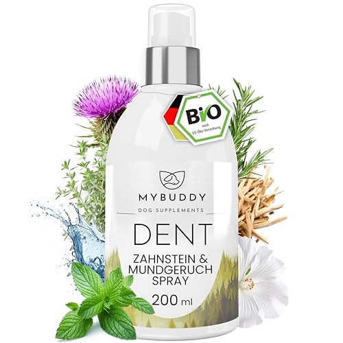 MYBUDDY DENT Bio Dentalspray für Hunde & Katzen Zahnpflege I 100% natürliches Bio-Zahnpflegespray vorbeugend & effektiv gegen Zahnstein & Mundgeruch I 200ml Zahnspray von MYBUDDY