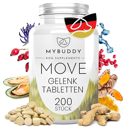 MYBUDDY Move Gelenktabletten Hund mit Grünlippmuschel MSM Teufelskralle Hyaluron Hefe Glucosamin Curcuma Ingwer für alle Rassen Nahrungsergänzungsmittel für Hunde Made in Germany von MYBUDDY