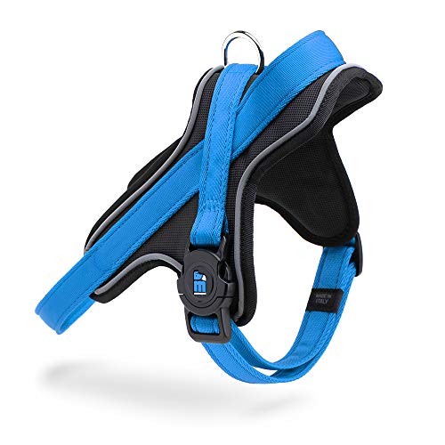 9035 Arnis, Nylon, Memopet, 2,2 cm, Größe M, Blau 9035 Arnis, Nylon, Memopet, 2,2 cm, Größe M, Blau von My Family