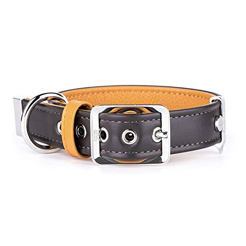 MyFamily Hundekragen in echtem italienischem Leder in Italien, Metall -Oberflächen in weißer Bronze, bequem und resistent, handgefertigt, Hermitage -Sammlung MyFamily Hundekragen in echtem italienischem Leder in Italien, Metall -Oberflächen in weißer Bronze, bequem und resistent, handgefertigt, Hermitage -Sammlung von My Family