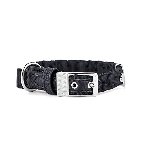 Myfamily Synthetisches Halsband Made in Italy West Point Kollektion Myfamily Synthetisches Halsband Made in Italy West Point Kollektion von My Family