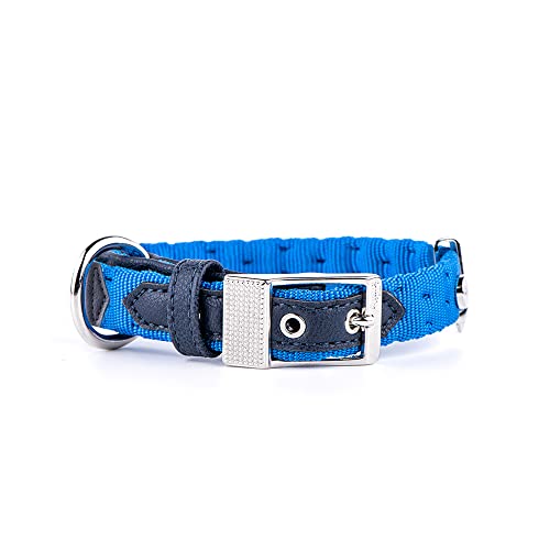 Myfamily Synthetisches Halsband Made in Italy West Point Kollektion Myfamily Synthetisches Halsband Made in Italy West Point Kollektion von My Family