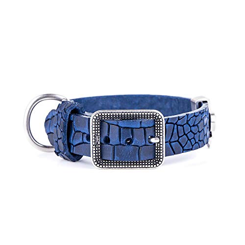 MyFamily Hundekragen in echtem italienischem Leder in Italien, Metall -Oberflächen im Alten Silber, bequem und resistent, handgefertigt, Tucson Collection MyFamily Hundekragen in echtem italienischem Leder in Italien, Metall -Oberflächen im Alten Silber, bequem und resistent, handgefertigt, Tucson Collection von My Family