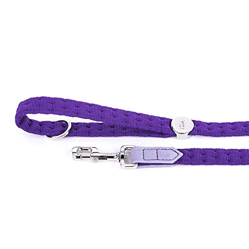 MyFamily Guinzaglio per Cane in Nylon Italiano di Alta Qualità Made in Italy, Finiture Metalliche in Bronzo Bianco o Placcate in ORO 24K, Pratico e Confortevole, Fatto a Mano, Collezione Milano MyFamily Guinzaglio per Cane in Nylon Italiano di Alta Qualità Made in Italy, Finiture Metalliche in Bronzo Bianco o Placcate in ORO 24K, Pratico e Confortevole, Fatto a Mano, Collezione Milano von My Family