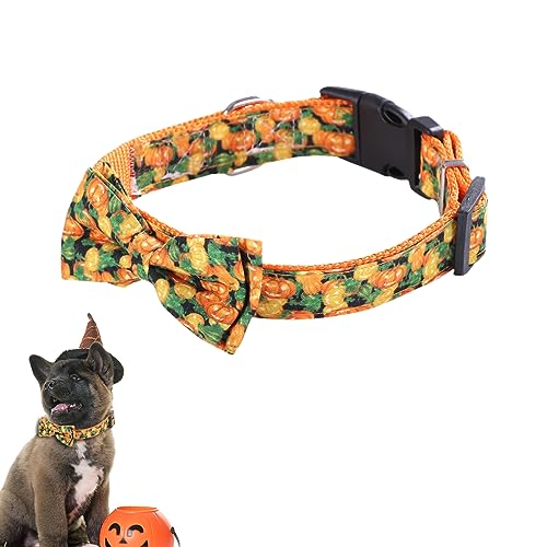 Halloween Katzenhalsband | Hundehalsband für große Hunde mit süßer Fliege,Glocke und Haustierhalsband für Halloween-Kostüme, verstellbare Halsbänder für kleine, mittelgroße und große Hunde Halloween Katzenhalsband | Hundehalsband für große Hunde mit süßer Fliege,Glocke und Haustierhalsband für Halloween-Kostüme, verstellbare Halsbänder für kleine, mittelgroße und große Hunde von MYJIO