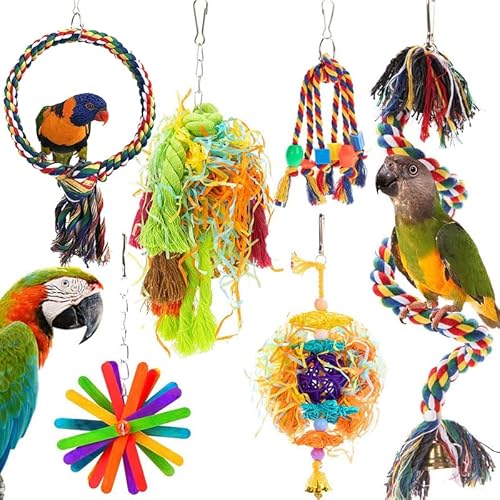 MYMULIKE Papageien Spielzeug, 6er-Pack Vogel Papagei Spielzeug, Papagei Leiter Hängende Schaukel Spielzeug Nymphensittich Afrikanische Grau Papagei MYMULIKE Papageien Spielzeug, 6er-Pack Vogel Papagei Spielzeug, Papagei Leiter Hängende Schaukel Spielzeug Nymphensittich Afrikanische Grau Papagei von MYMULIKE