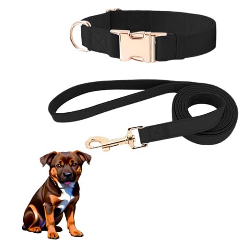 MYPETSTOCK® Set aus Halsband und Leine aus weichem Leder für mittelgroße und große Hunde bis 25 kg – verstellbares Halsband, robuste Leine, elegantes und robustes Design (Schwarz, Größe L) von MYPETSTOCK