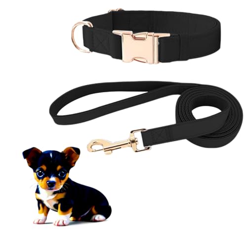 MYPETSTOCK® Halsband und Leine aus weichem Leder für kleine Hunde – verstellbares Halsband, strapazierfähige Leine, elegantes und robustes Design (Schwarz, Größe S) von MYPETSTOCK