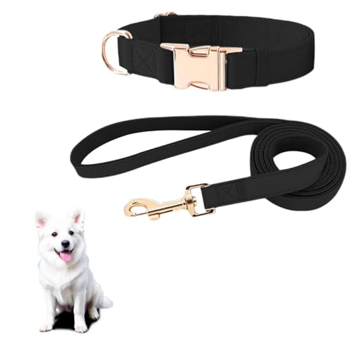 MYPETSTOCK Set aus Halsband und Leine für Hunde aus Leder – verstellbares Halsband für Welpen, kleine und mittelgroße Hunde (schwarz) M von MYPETSTOCK