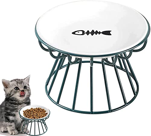 Whisker-Friendly Anti-Vomit Cat Plate,Elevated Cat Bowl-Raised Cat Food Bowl with Metal Stand,Food & Water Anti Vomiting Shallow Ceramic Dish for Cat and Small Dogs. (Fish Plate, Green) von MYPOWR