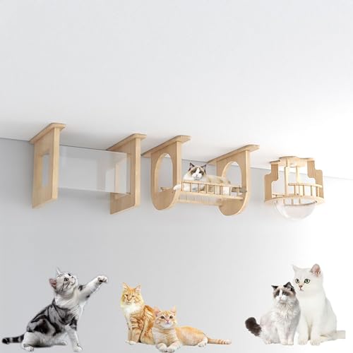 Katzenwandmöbel, Moderne Wandmontierte Katzenmöbel, Katzenkletterwand, Katzenwandregale, DIY Decken- und Wandkombinationsset, Platzsparend(Style4) von MYXJX