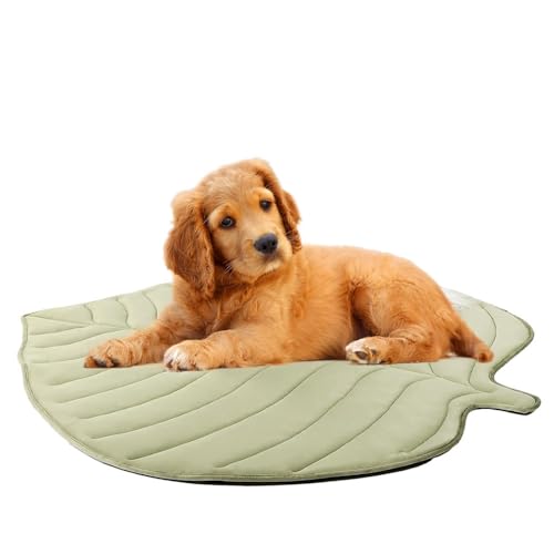 MYYMKJYXGS Blattförmige Haustier-Kühlmatte – Sommerunterlage for Katzen und Hunde, leichte, rutschfeste, waschbare Haustiermatte, süßes Design for den Innen- und Außenbereich(Green,S) von MYYMKJYXGS