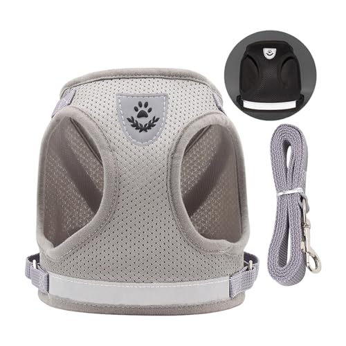 Atmungsaktives, reflektierendes Hundegeschirr, kühlendes Design, verstellbarer Brustgurt für Spaziergänge, Haustier, Outdoor-Ausrüstung, Anpassung des Brustgurts des Hundes Atmungsaktives, reflektierendes Hundegeschirr, kühlendes Design, verstellbarer Brustgurt für Spaziergänge, Haustier, Outdoor-Ausrüstung, Anpassung des Brustgurts des Hundes von MZRAN