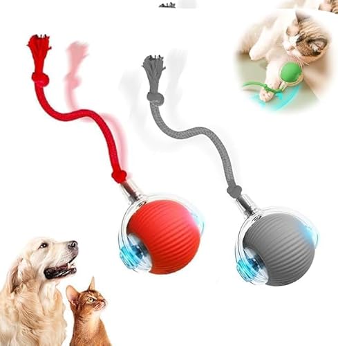 Interaktives Katzenspielzeug Katzenball, Katzenspielzeug Elektrisch Katzenball, Selbstbeschäftigung, 2 Arbeitsmodi, Automatisch Rollender Intelligenz Ball Interaktiver Spielball für Katzen (Rot+Grau) Interaktives Katzenspielzeug Katzenball, Katzenspielzeug Elektrisch Katzenball, Selbstbeschäftigung, 2 Arbeitsmodi, Automatisch Rollender Intelligenz Ball Interaktiver Spielball für Katzen (Rot+Grau) von MZU