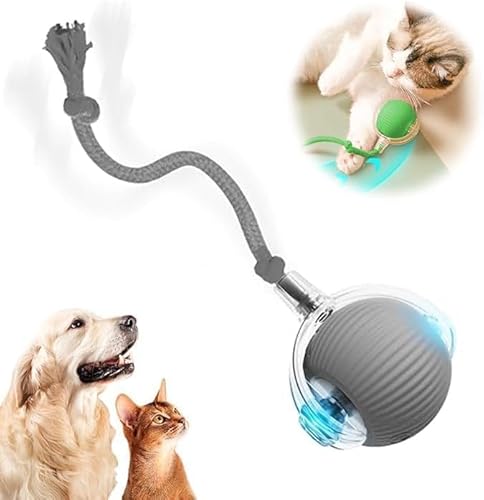 MZU Interaktiver Automatenball, Interaktives Rollballspielzeug, Wiederaufladbar, Aktiv, Katze, Hund, Haustier, Innenspielzeug, Langlebige und Sichere Materialien (Grau) von MZU