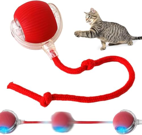 MZU Interaktives Katzenspielzeug Katzenball, Katzenspielzeug Elektrisch Katzenball, Selbstbeschäftigung, 2 Arbeitsmodi, Automatisch Rollender Intelligenz Ball Interaktiver Spielball für Katzen (Rot) MZU Interaktives Katzenspielzeug Katzenball, Katzenspielzeug Elektrisch Katzenball, Selbstbeschäftigung, 2 Arbeitsmodi, Automatisch Rollender Intelligenz Ball Interaktiver Spielball für Katzen (Rot) von MZU