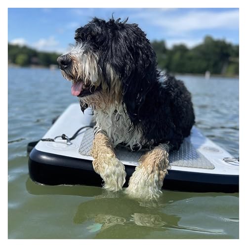 Sicherheits-Schwimmdock Für Große Hunde, Aufblasbare Hundewasserrampe Haustierdock Mit Eva Anti-Rutsch-Pad & 3 Nylongriff & 3D Stufen, Hundeschwimmer Für Schwimmende Haustiere Bis Zu 105kg(Black) von MZZKFC