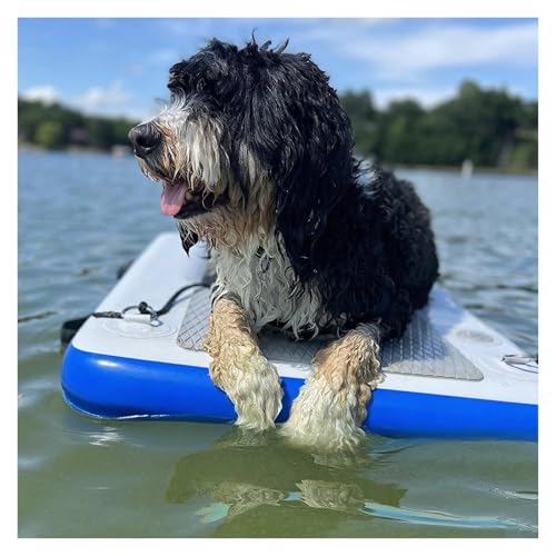 Sicherheits-Schwimmdock Für Große Hunde, Aufblasbare Hundewasserrampe Haustierdock Mit Eva Anti-Rutsch-Pad & 3 Nylongriff & 3D Stufen, Hundeschwimmer Für Schwimmende Haustiere Bis Zu 105kg(Blue) von MZZKFC