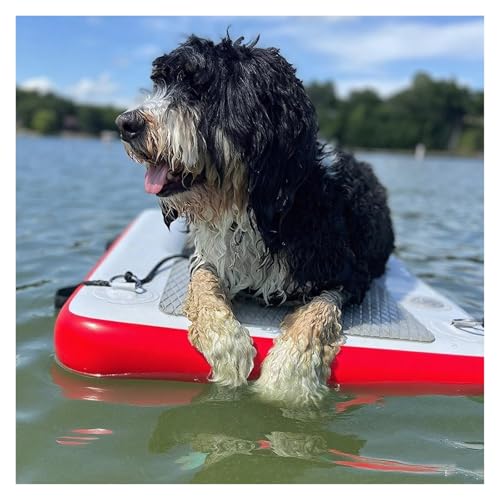 Sicherheits-Schwimmdock Für Große Hunde, Aufblasbare Hundewasserrampe Haustierdock Mit Eva Anti-Rutsch-Pad & 3 Nylongriff & 3D Stufen, Hundeschwimmer Für Schwimmende Haustiere Bis Zu 105kg(Red) Sicherheits-Schwimmdock Für Große Hunde, Aufblasbare Hundewasserrampe Haustierdock Mit Eva Anti-Rutsch-Pad & 3 Nylongriff & 3D Stufen, Hundeschwimmer Für Schwimmende Haustiere Bis Zu 105kg(Red) von MZZKFC