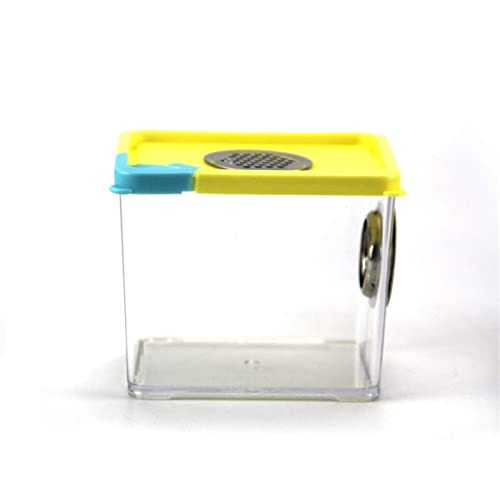 Acryl-Insekten-Terrarium, Spinne, Skorpion, Reptil, Lebensraum, Metall, Belüftung, bunt, transparent, Futterkäfig, lebender Körper, Ökologie, Haustierhaus, Viva Acryl-Insekten-Terrarium, Spinne, Skorpion, Reptil, Lebensraum, Metall, Belüftung, bunt, transparent, Futterkäfig, lebender Körper, Ökologie, Haustierhaus, Viva von MaGiLL