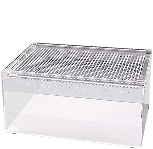 Großes Reptilien-Terrarium, Amphibien-Tank, Acryl-Futterbox, Vivarium, Reptilien-Eidechse, Schildkröte, Schlangenkäfig, Uhrenglas-Tank – Transportbox, Tierhandl von MaGiLL