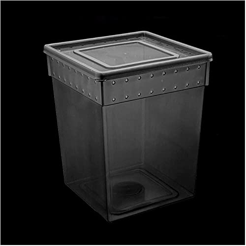 Großes Reptilien-Terrarium, Amphibienbecken, Spinnen-Skorpion-Reptilien-Paradies, Haustier-Hausuhr, transparenter, atmungsaktiver Käfig, Aufzucht, ökologischer Großes Reptilien-Terrarium, Amphibienbecken, Spinnen-Skorpion-Reptilien-Paradies, Haustier-Hausuhr, transparenter, atmungsaktiver Käfig, Aufzucht, ökologischer von MaGiLL