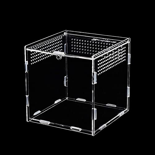 Insekten-Futterbox, Acryl-Terrariumbehälter für Spinne, Eidechse, Frosch, Skorpion, tragbarer Lebensraum für kriechende Haustiere und Reptilien, Anti-Flucht-des Insekten-Futterbox, Acryl-Terrariumbehälter für Spinne, Eidechse, Frosch, Skorpion, tragbarer Lebensraum für kriechende Haustiere und Reptilien, Anti-Flucht-des von MaGiLL