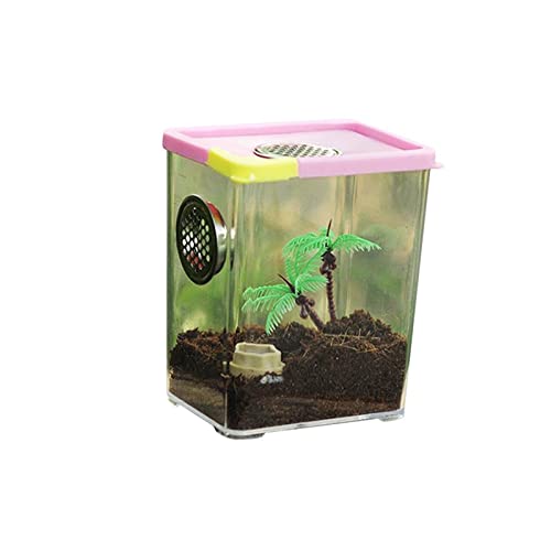 Reptilien-Futter-Terrarium-Box, Schildkröten-Eidechsen-Futterbox, Reptilien-Futterspender, transparenter Acryl-Reptilien-Futterspender, Haustier-Haus-Futterbox von MaGiLL