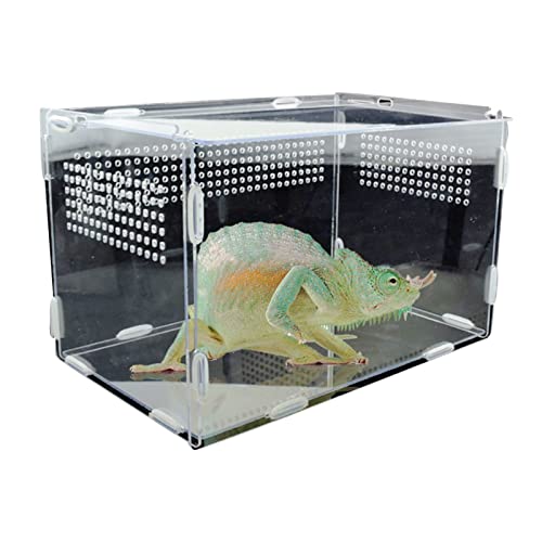 Reptilien-Futter-Terrarium-Box, Schildkröten-Eidechsen-Futterbox, Reptilien-Zuchtbox, transparentes Acryl, Reptilienbox, Spinnen, Eidechsen, Grillen, Futterbox, von MaGiLL