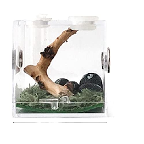 Reptilien-Futter-Terrarium-Box, Schildkröten-Eidechsen-Futterbox, kleine Reptilien-Zuchtbox, transparenter Acrylkäfig, Lebensraum, Insekten-Futterbox, Futterbox Reptilien-Futter-Terrarium-Box, Schildkröten-Eidechsen-Futterbox, kleine Reptilien-Zuchtbox, transparenter Acrylkäfig, Lebensraum, Insekten-Futterbox, Futterbox von MaGiLL