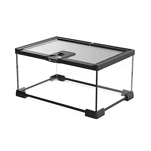 Reptilien-Glas-Terrarium-Tank, Fütterungs-Reproduktions-Transporttank – Eidechse, Frosch, Spinne, Skorpion, Box, Uhrenbox – Haustierhaus Reptilien-Glas-Terrarium-Tank, Fütterungs-Reproduktions-Transporttank – Eidechse, Frosch, Spinne, Skorpion, Box, Uhrenbox – Haustierhaus von MaGiLL