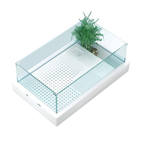 Schildkrötenbecken, Schildkrötenbecken mit Balkon, ultraweißes Glas, kleines Wohnzimmer, Aquarium, Schildkrötenvilla, Spezialbecken für die Aufzucht von Schild von MaGiLL