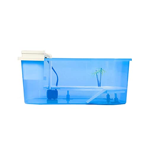 Schildkrötenbecken Kleines Schildkrötenbecken, EIN spezielles Aquarium für große Schildkröten, brasilianisches Schildkrötenvilla-Terrarium, ökologisches Beckenh Schildkrötenbecken Kleines Schildkrötenbecken, EIN spezielles Aquarium für große Schildkröten, brasilianisches Schildkrötenvilla-Terrarium, ökologisches Beckenh von MaGiLL
